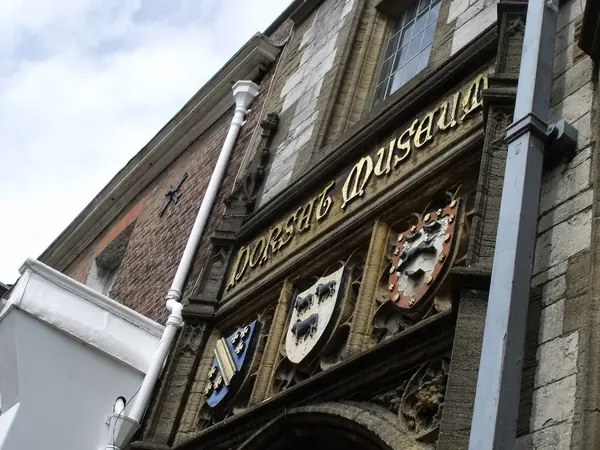 Carved stone facade and 'Dorset Museum' lettering on the Dorset Museum, High West Street, Dorchester