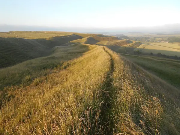 Grassy multiple ramparts of Maiden Castle Iron Age hillfort near Dorchester