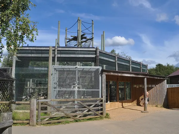 Climbing frames and primate enclosure at Monkey World ape rescue centre near Wool, Dorset